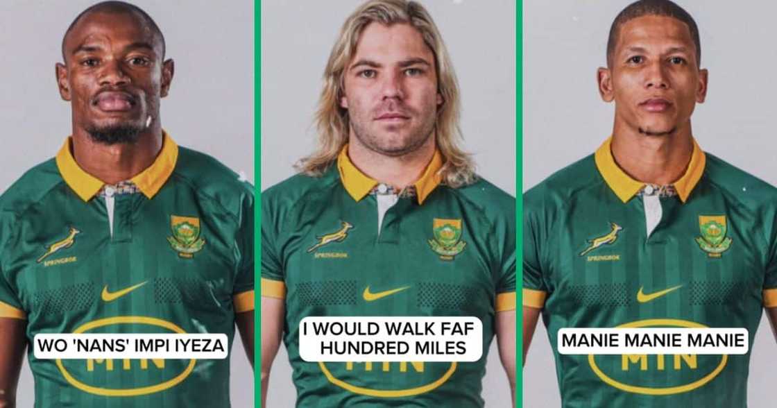 Video shows Springboks players names in compilation of songs Video shows Springboks players names in compilation of songs