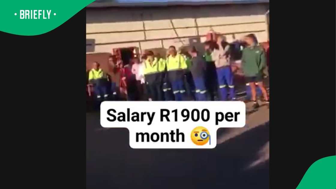 A video went viral on TikTok.