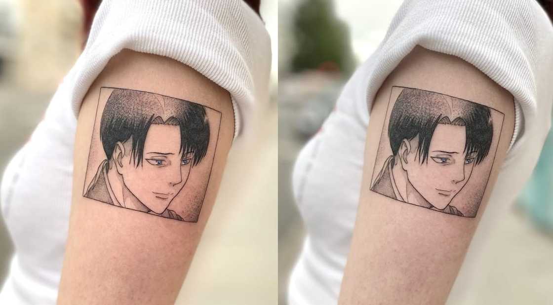 Levi Ackerman Levi Ackerman