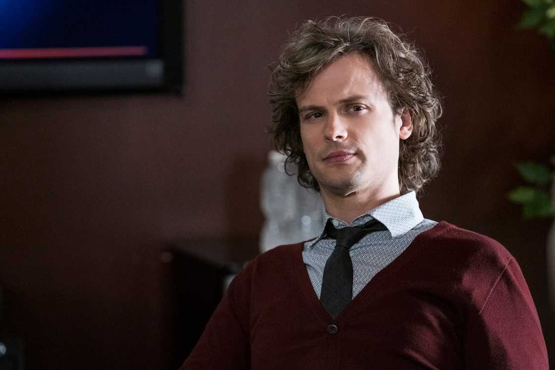 Matthew Gubler net worth Matthew Gubler net worth