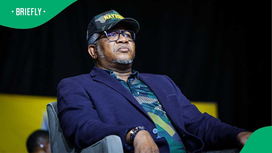 Fikile Mbalula was recently booed Fikile Mbalula was recently booed