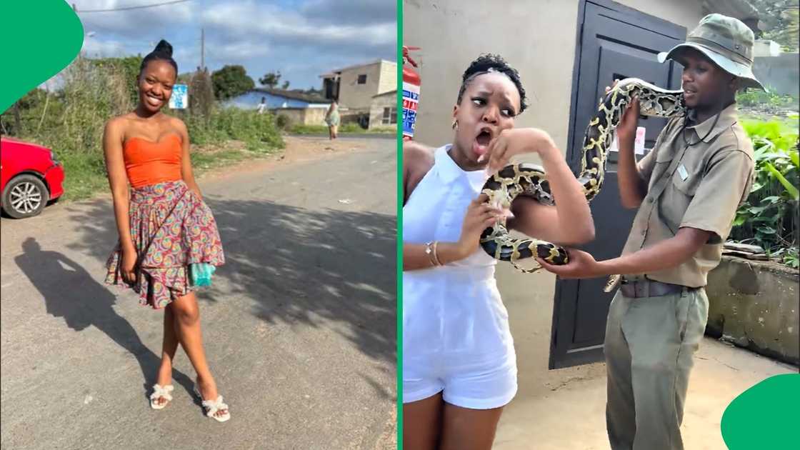 Social media users were in stitches after seeing a lady screaming while holding a snake Social media users were in stitches after seeing a lady screaming while holding a snake