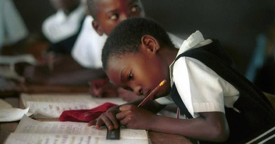 Laerskool Theresapark, Afrikaans, Education Laerskool Theresapark, Afrikaans, Education