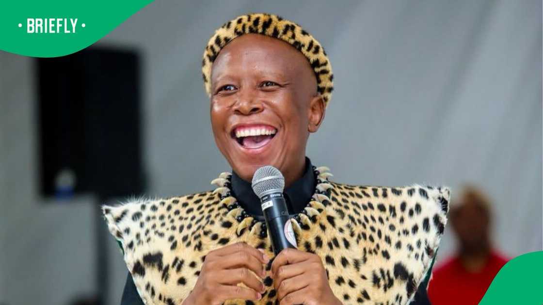 Ngizwe Mchunu and Julius Malema back in court after SABC interview sparks new dispute