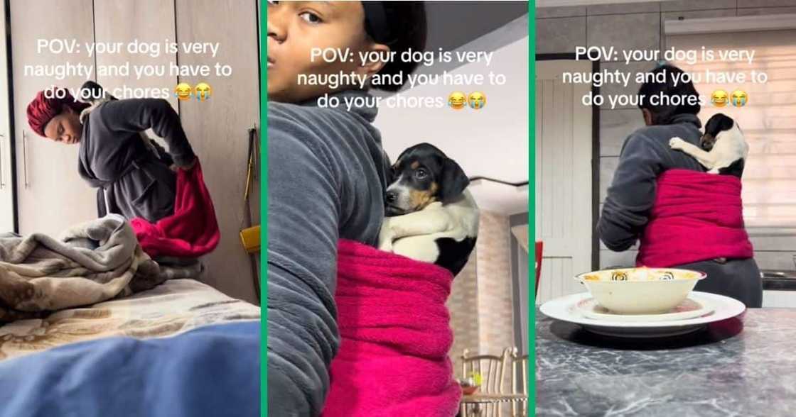 Woman carries puppy on her back Woman carries puppy on her back