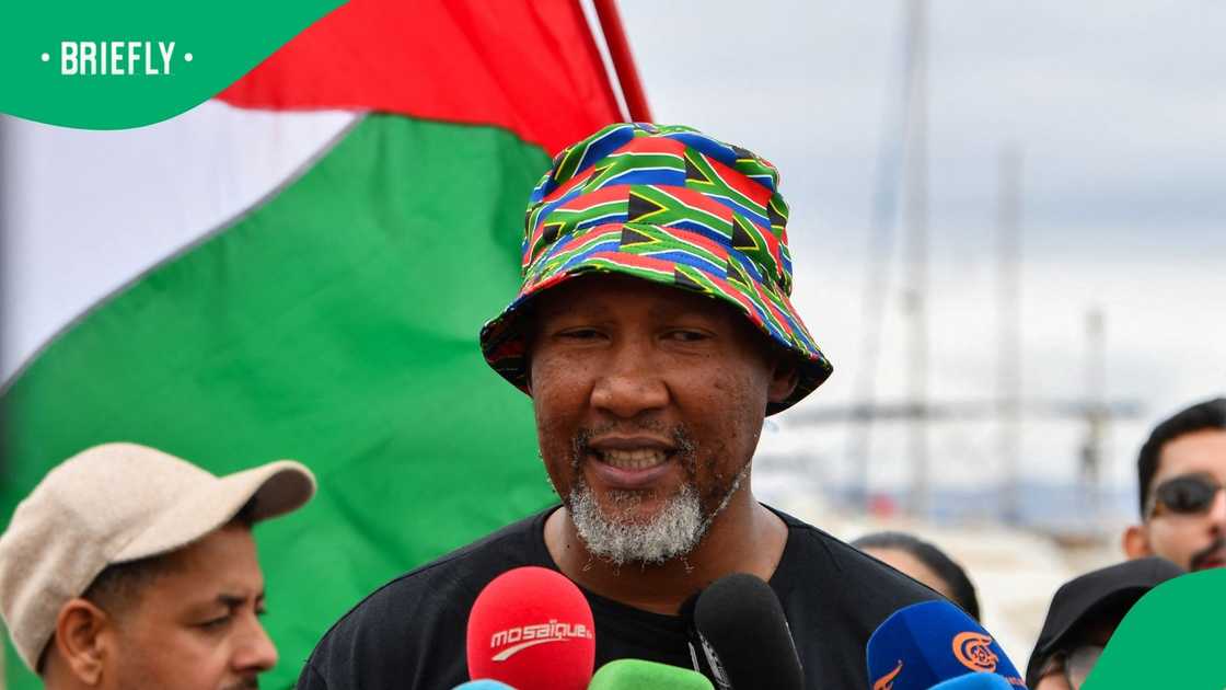 Mandla Mandela will be among the South African activists who will be released after they werre detained by the Israeli forces