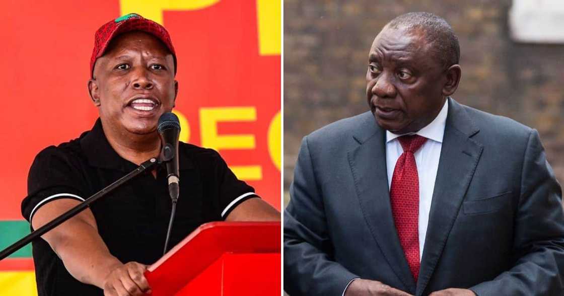 Julius Malema_Cyril Ramaphosa Julius Malema_Cyril Ramaphosa