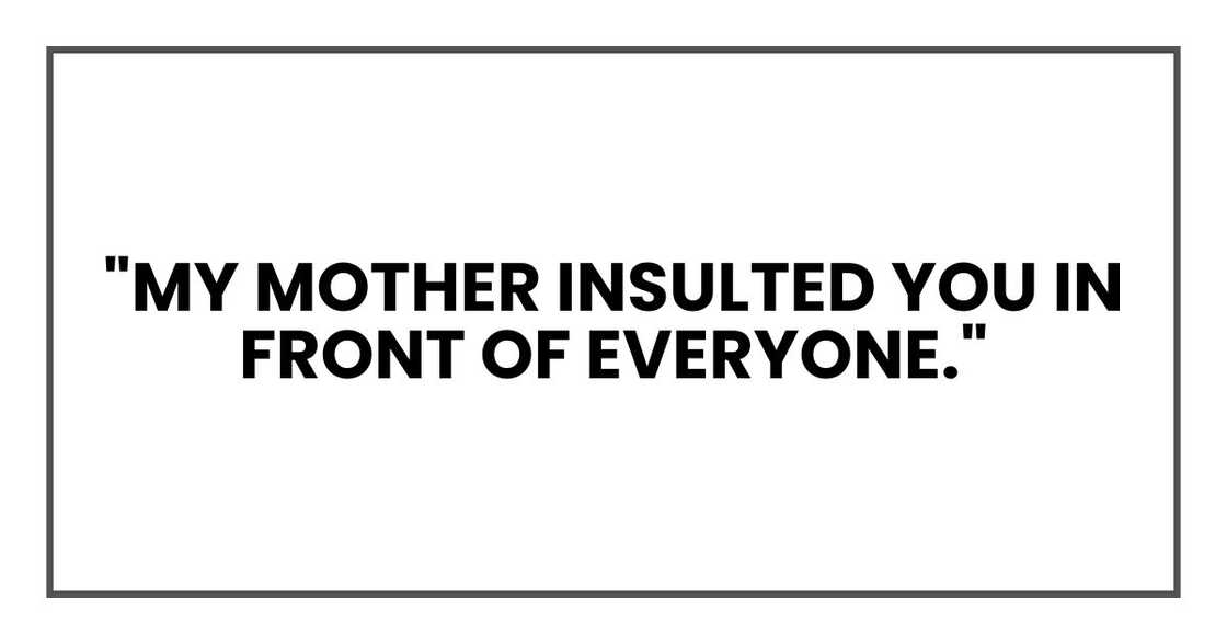 "My mother insulted you in front of everyone."