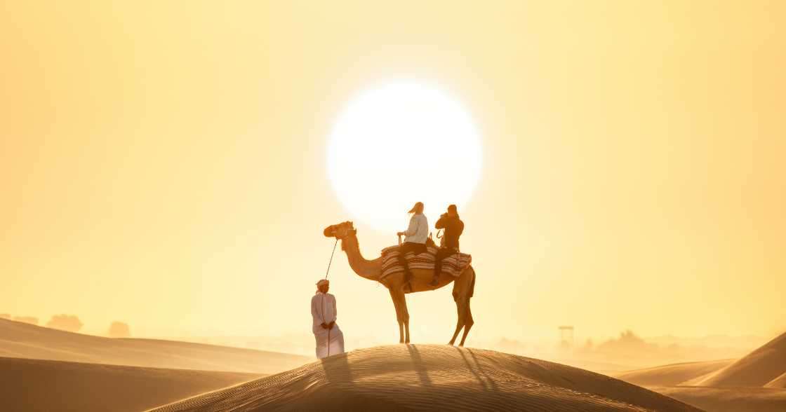 South African families, weary of winter's chill, often dream of sun-drenched escapes. This year, that
dream can become a reality in Dubai. South African families, weary of winter's chill, often dream of sun-drenched escapes. This year, that
dream can become a reality in Dubai.