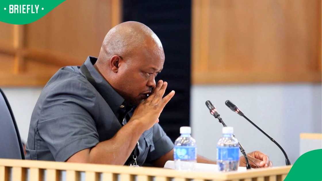 Brown Mogotsi is set to appear before the Ad Hoc Committee