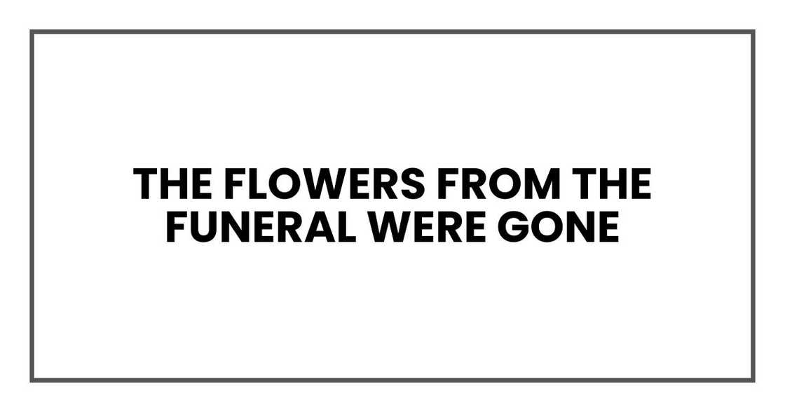 THE FLOWERS FROM THE FUNERAL WERE GONE