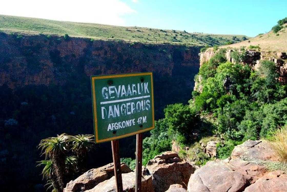 Hiking trails and walking trails in Gauteng Hiking trails and walking trails in Gauteng