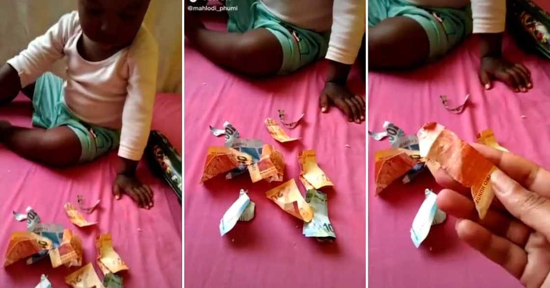 A mama took to the socials to share her disbelief at her child, who tore up some cash. A mama took to the socials to share her disbelief at her child, who tore up some cash.
