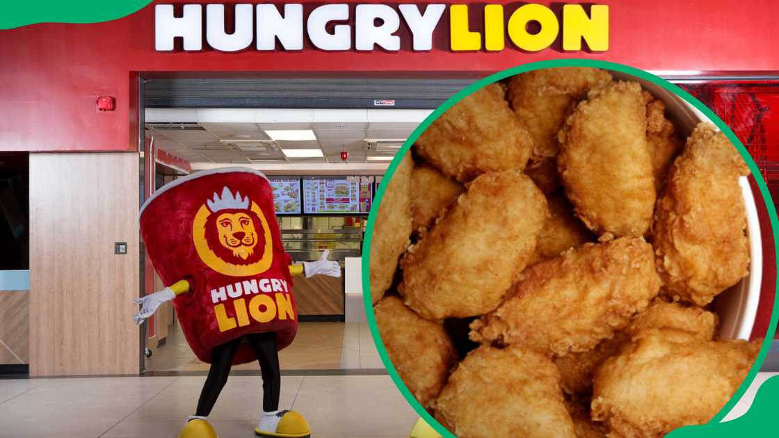 Hungry lion menu 2024