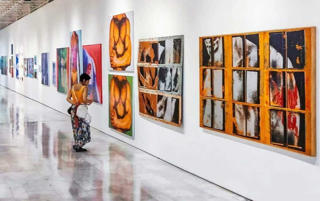 Full list of top art galleries in South Africa 2021. Best art gallery in south africa Full list of top art galleries in South Africa 2021. Best art gallery in south africa