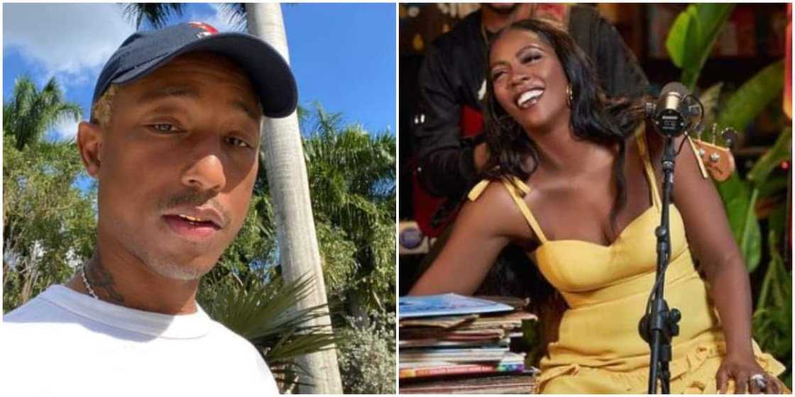 American Star Pharrell Gives Feedback After Listening to Tiwa Savage’s Song Sends Social Media Into Frenzy American Star Pharrell Gives Feedback After Listening to Tiwa Savage’s Song Sends Social Media Into Frenzy