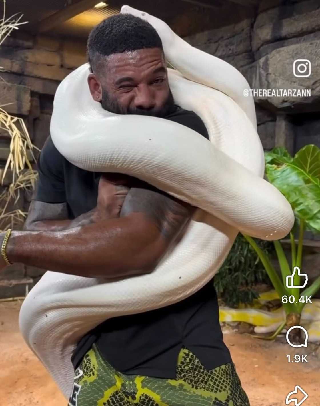 A man got tangled up in a massive snake in a tense video that sparked a buzz online.