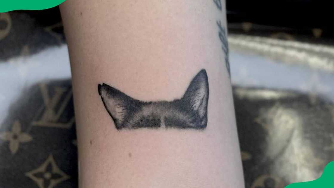 Cat ear tattoo Cat ear tattoo