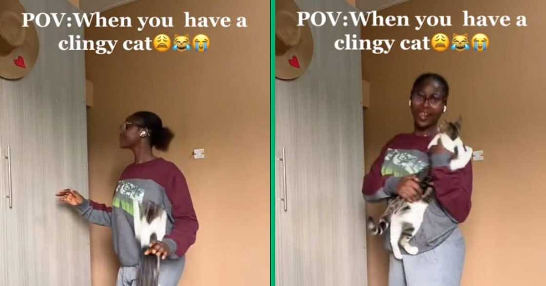 Cat pounces on dancing girl Cat pounces on dancing girl