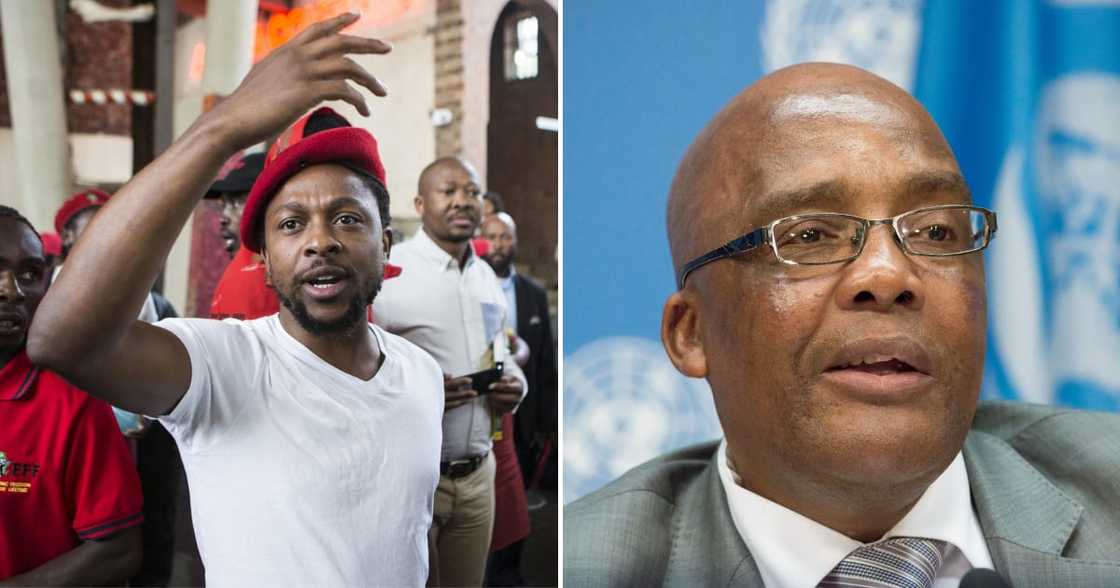 Dr Aaron Motsoaledi, Home Affairs Minister, 'rascals' comment, EFF, Mbuyiseni Ndlozi, undocumented foreigners