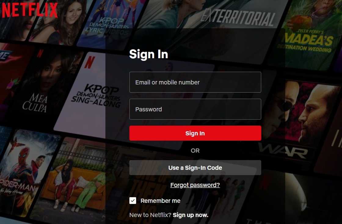 A screenshot of the Netflix website A screenshot of the Netflix website