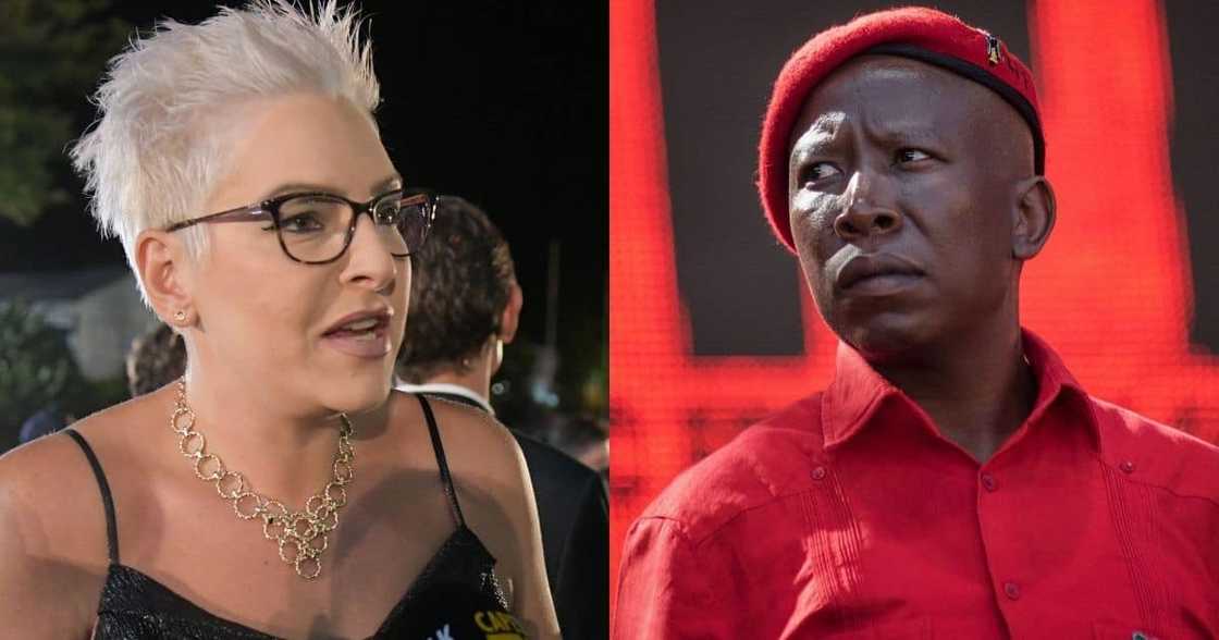 DA, Natasha Mazzone, EFF manifesto, declared illegal, Julius Malema DA, Natasha Mazzone, EFF manifesto, declared illegal, Julius Malema