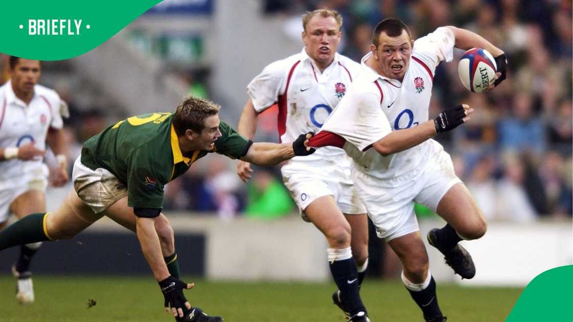 Steve Thompson, England, Springboks, South Africa