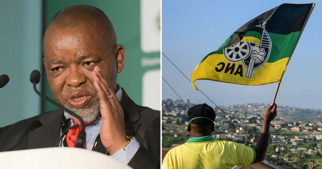 ANC national chairperson Gwede Mantashe ANC national chairperson Gwede Mantashe