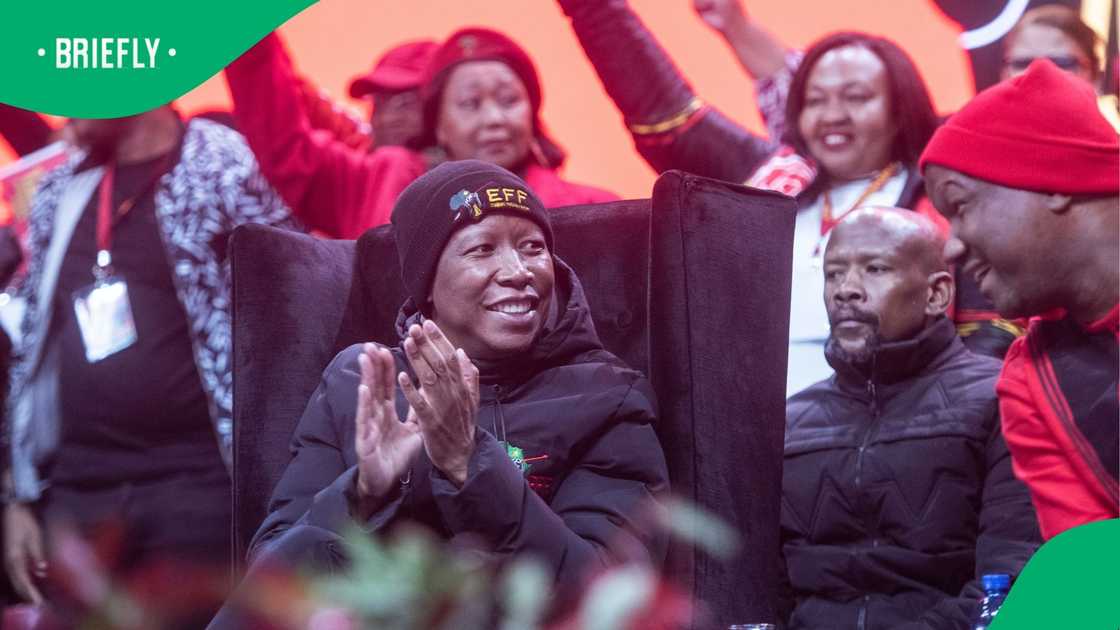 KwaZulu-Natal Provincial Commissioner Lieutenant General Nhlanhla Mkhwanazi described the removal as deliberate interference