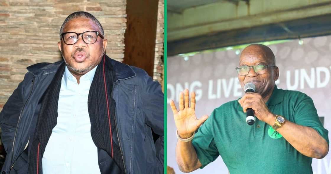 Fikile Mbalula tried to explain away what he meant when he said ANC defended Jacob Zuma's Nkandla swimming pool Fikile Mbalula tried to explain away what he meant when he said ANC defended Jacob Zuma's Nkandla swimming pool