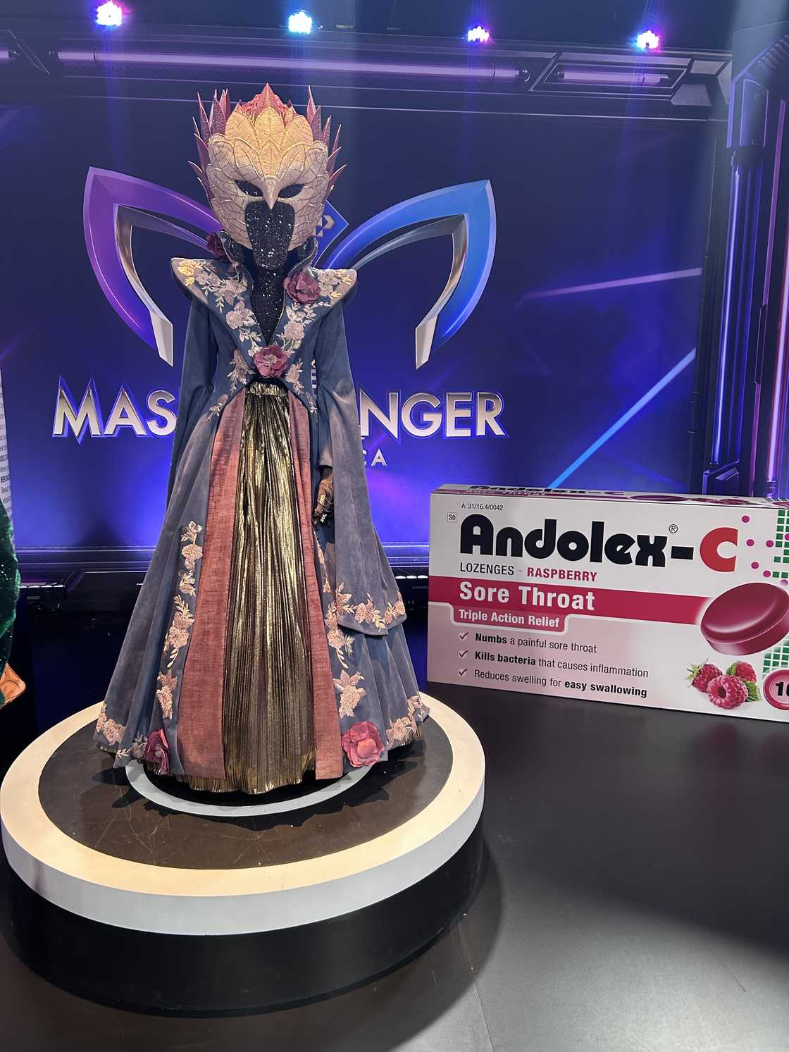 A famous celebrity is behind Protea on ‘The Masked Singer South Africa’.