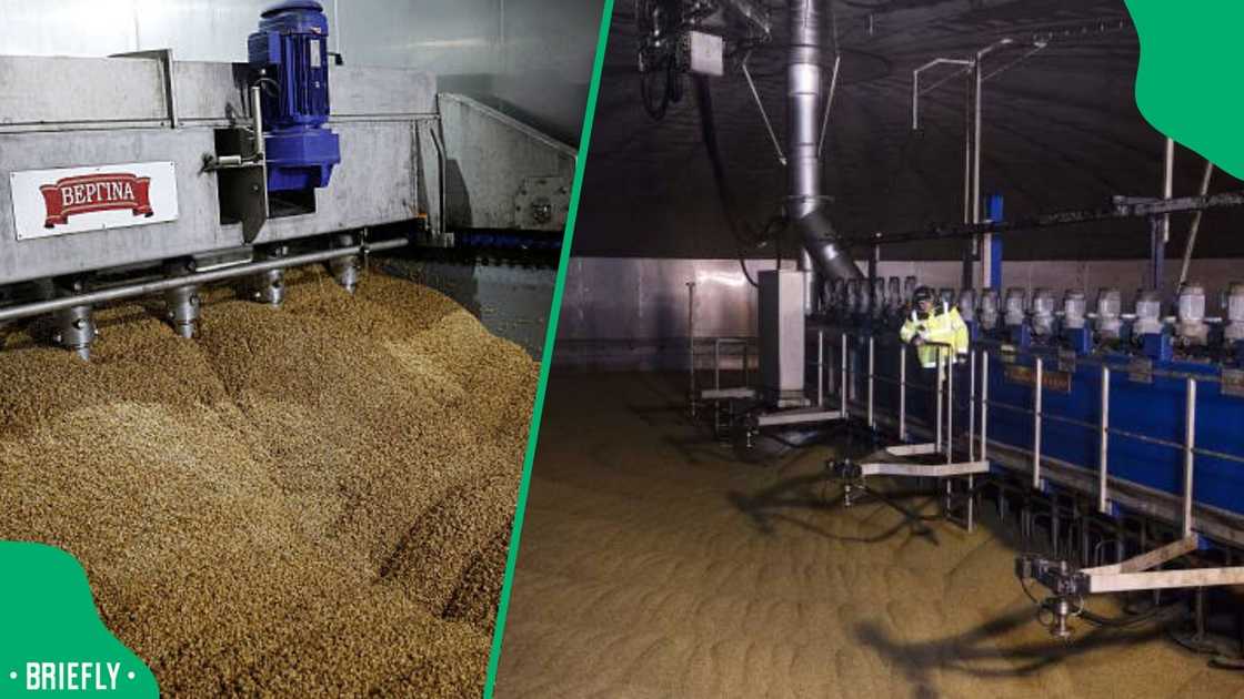 Souflett Malt facility