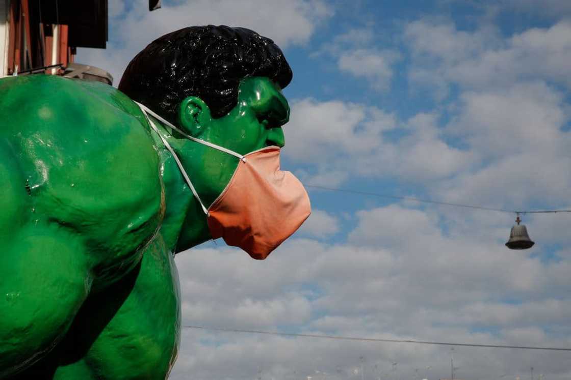 The Hulk The Hulk