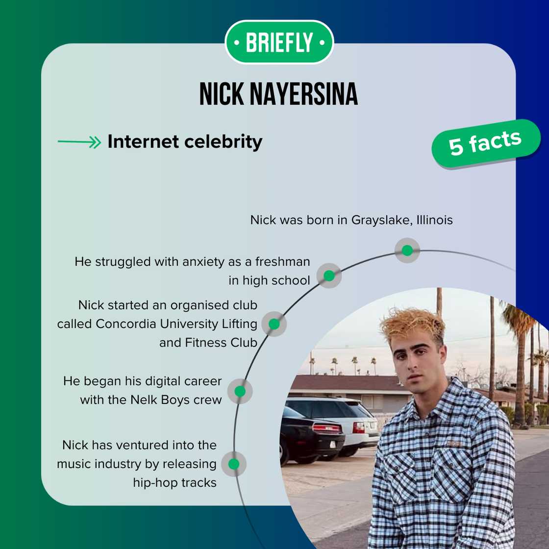 Facts about Nick Nayersina Facts about Nick Nayersina
