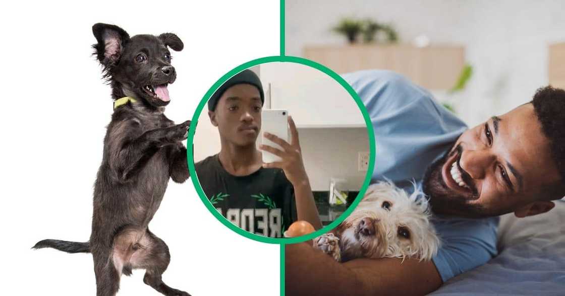 A man danced with his pet dog. A man danced with his pet dog.