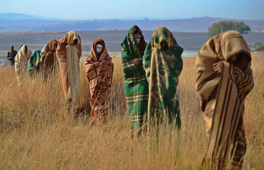 All about Xhosa traditions All about Xhosa traditions