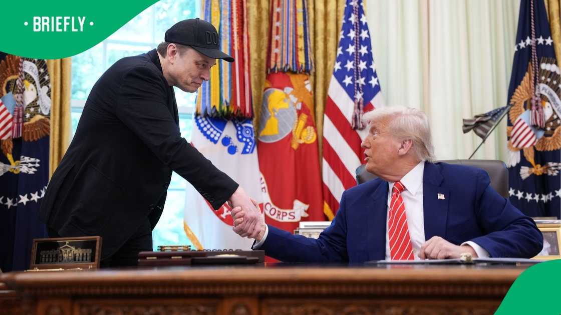US President Donald Trump and Elon Musk were once allies