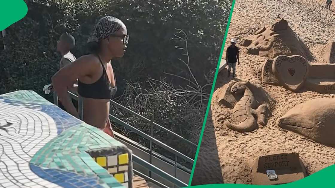 Durban woman allegedly destroyed artist's work and swore at him in video Durban woman allegedly destroyed artist's work and swore at him in video