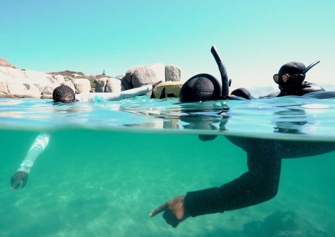 People snorkelling in Ocean in Cape Town People snorkelling in Ocean in Cape Town