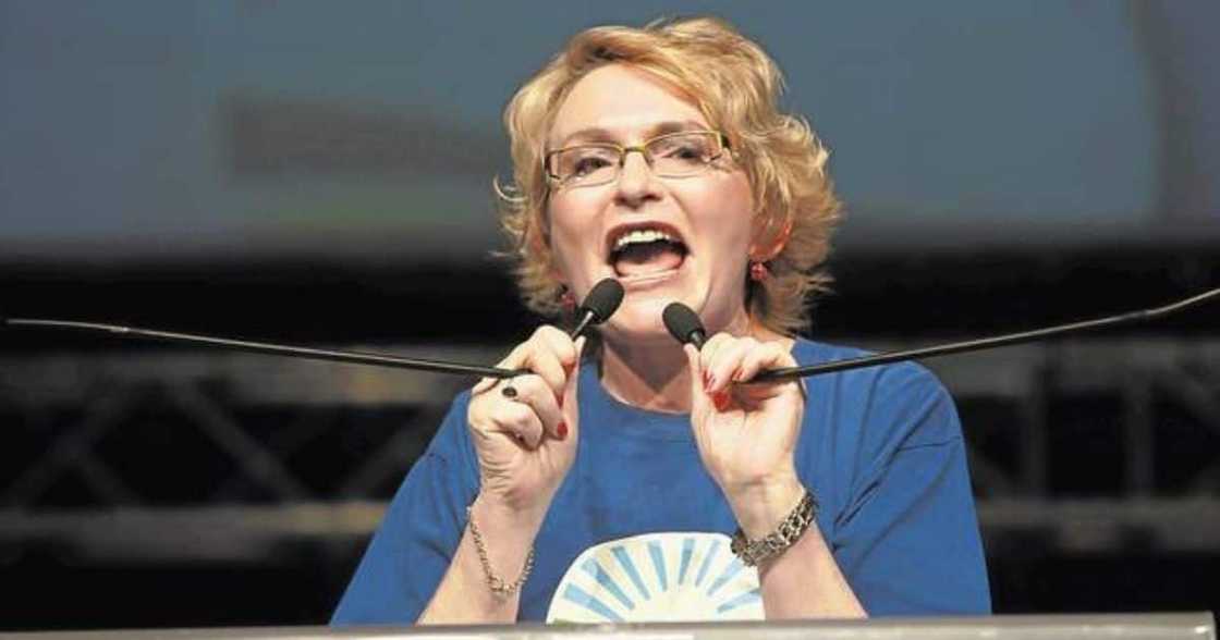 Helen Zille, IEC, attacks, harming Constitutional Court's integrity Helen Zille, IEC, attacks, harming Constitutional Court's integrity