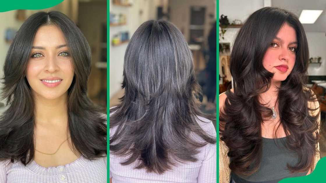 What is the octopus haircut? What is the octopus haircut?