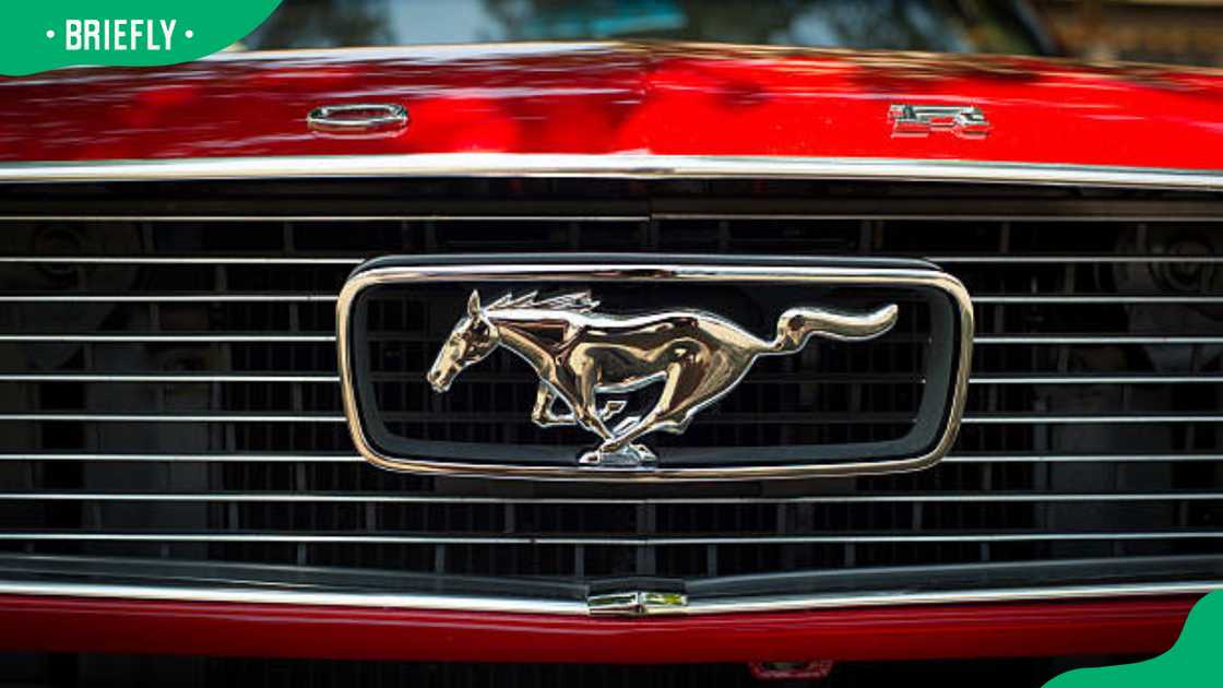 Red Ford Mustang logo Red Ford Mustang logo