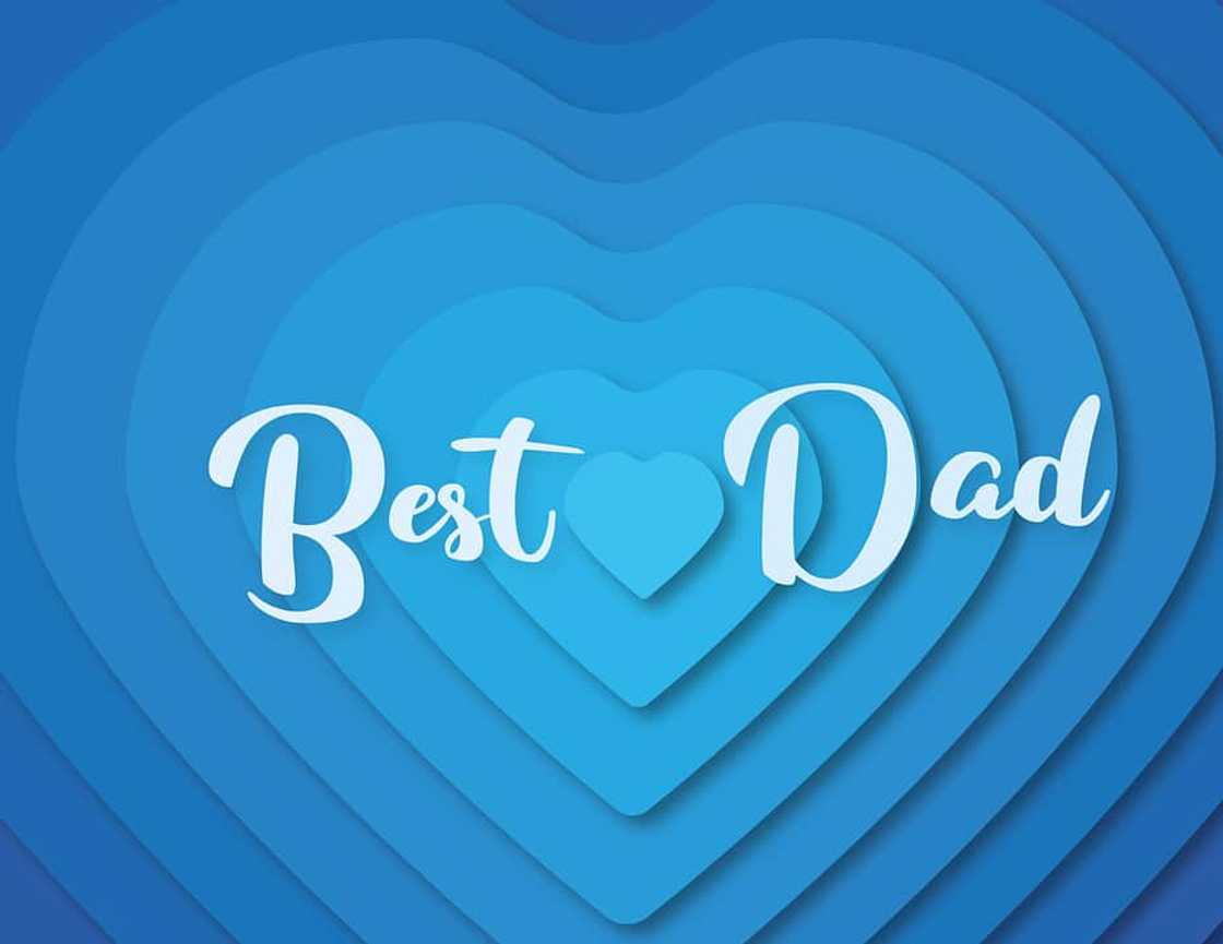 The Best dad The Best dad