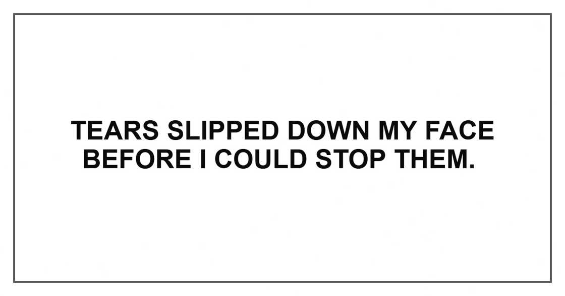 Tears slipped down my face before I could stop them. Tears slipped down my face before I could stop them.