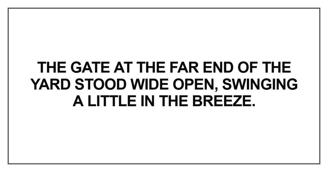 The gate at the far end of the yard
