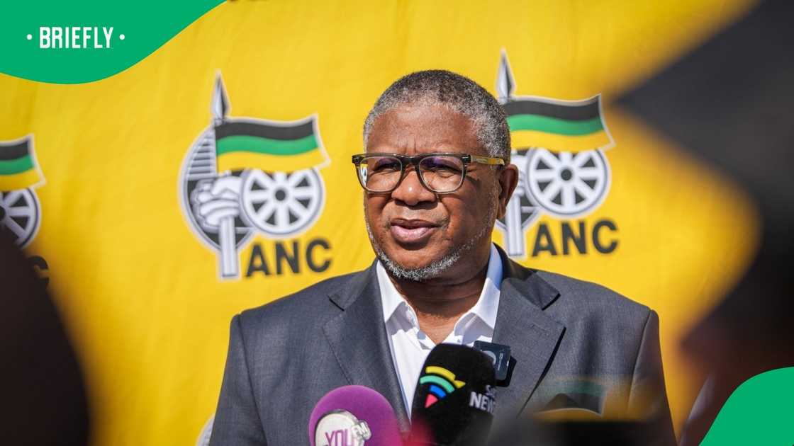 ANC Secretry-General Fikile Mbalula challenged the appointment of Griffiths Madonsela as the Impeachment Committee's evidence leader