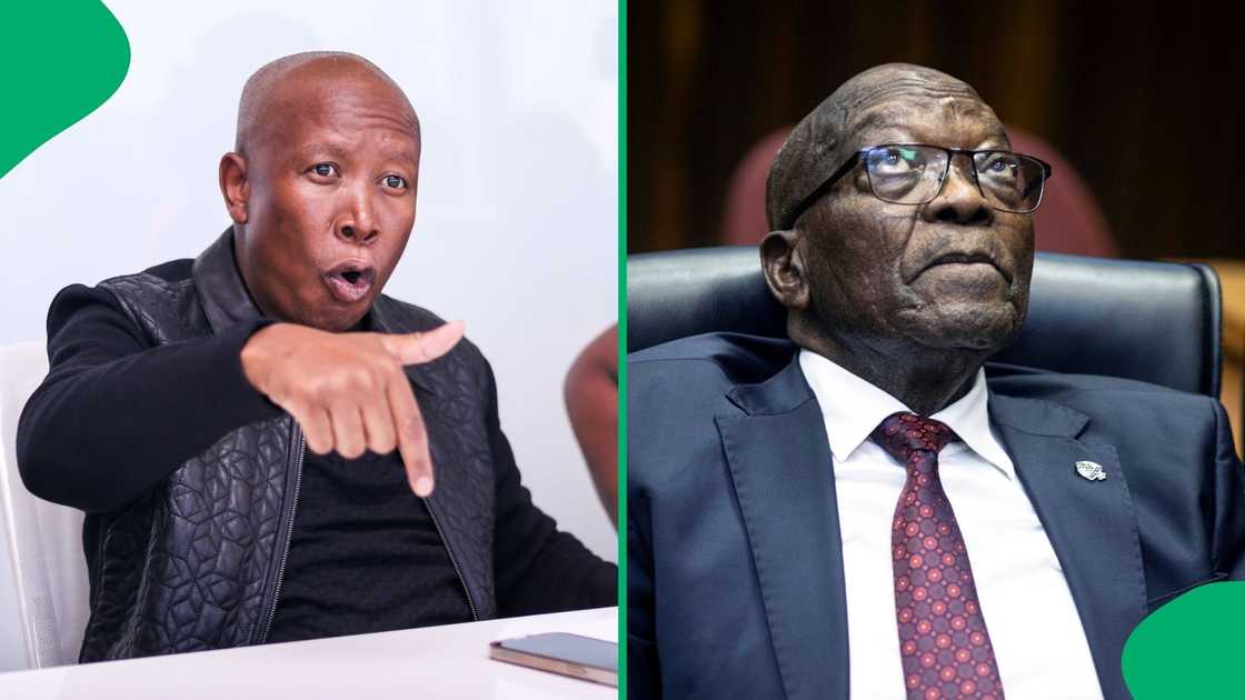 Julius Malema is taking the fight to Jacob Zuma. Julius Malema is taking the fight to Jacob Zuma.