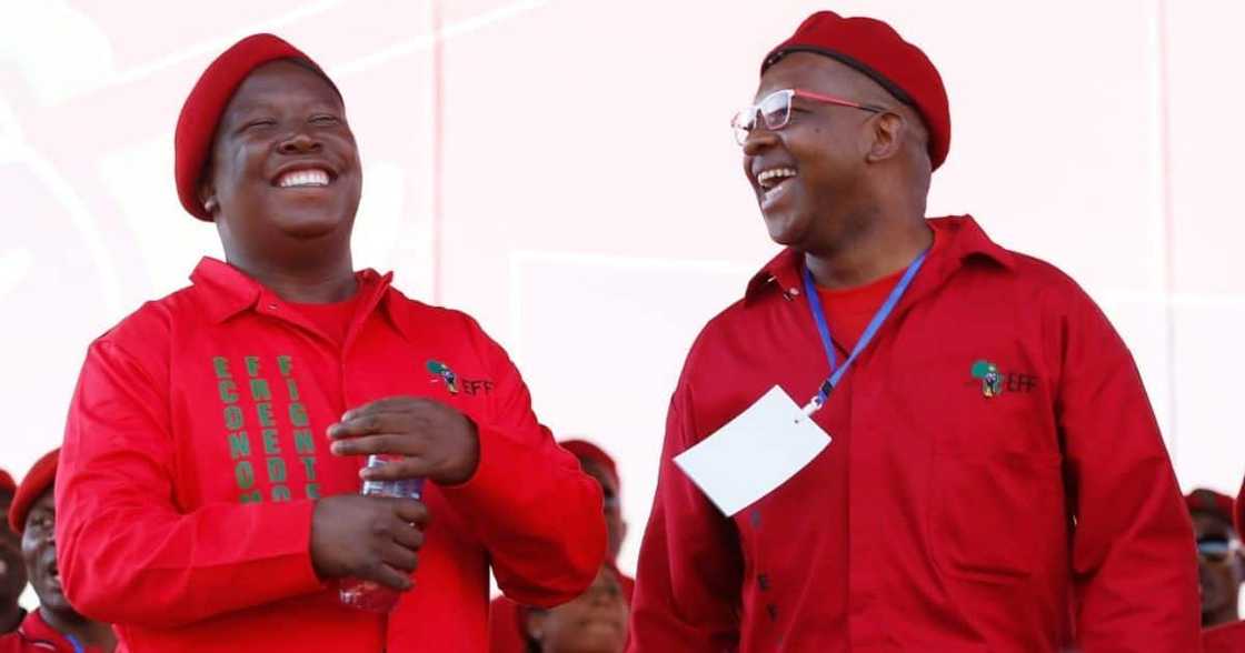 Julius Malema, EFF, Economic Freedom Fighters, Advocate Dali Mpofu, Raymond Zondo, JSC, judicial appointments, judiciary, Freedom under Law Julius Malema, EFF, Economic Freedom Fighters, Advocate Dali Mpofu, Raymond Zondo, JSC, judicial appointments, judiciary, Freedom under Law