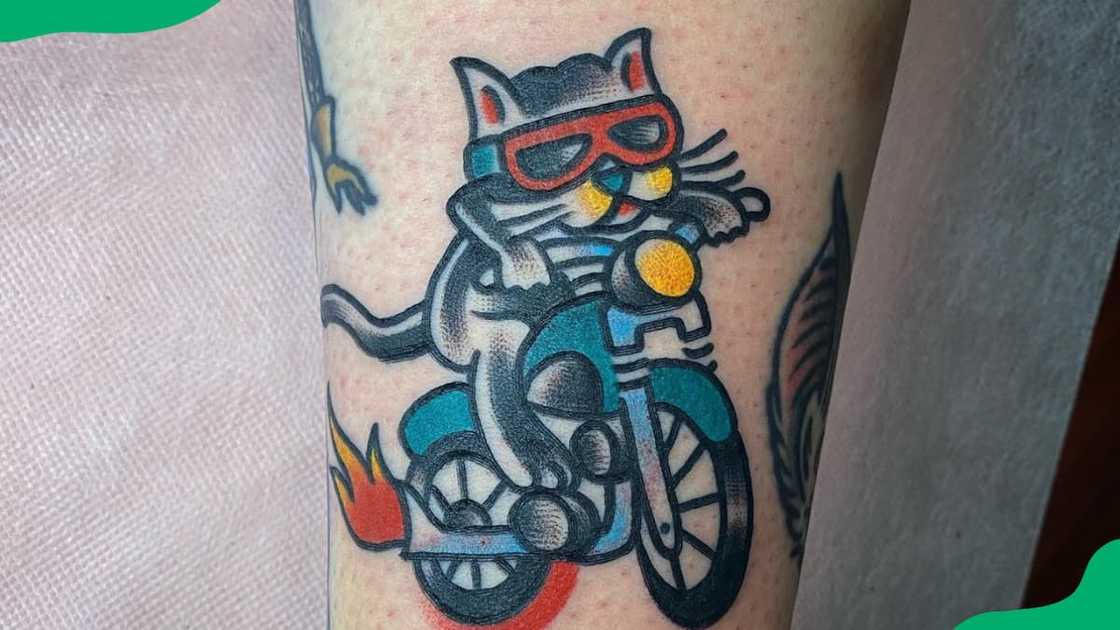 Motorcycle-riding cat Motorcycle-riding cat