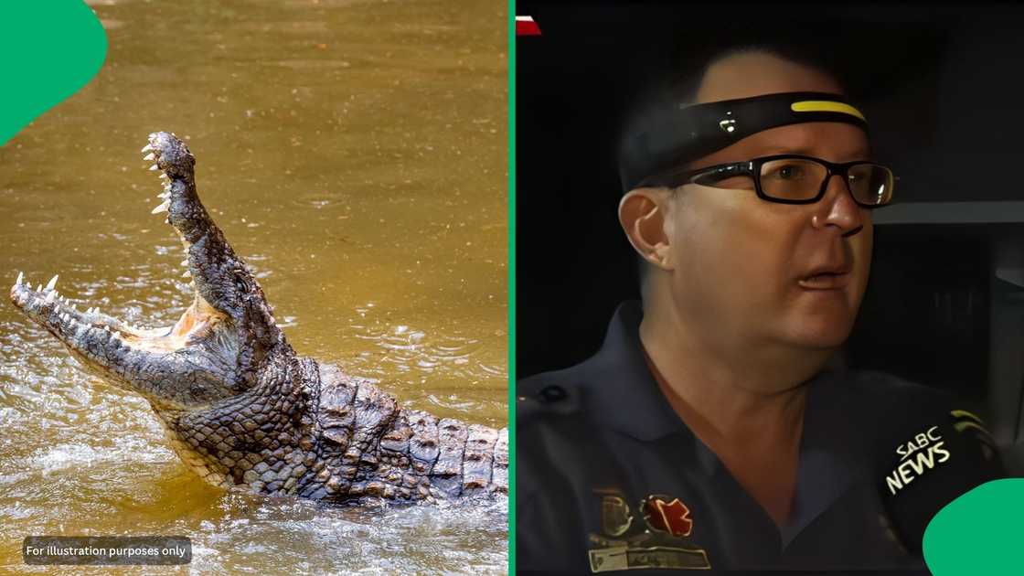 The search helicopter from EMS scanned the specific location in the river where the crocodile had been consistently spotted